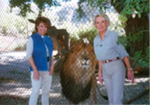 CJ_Leo_Tippi-2-310x216 CJ_Leo_Tippi-2-310x216